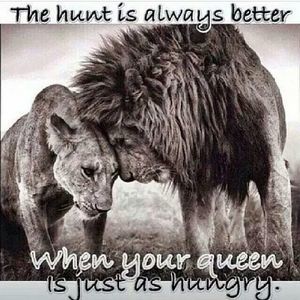 Meet your Posher, Dionisio